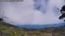 ./images/calvert/fitz-hugh-hecate/20250608/fitz-hugh-hecate20250608_130012M.jpg