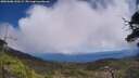 ./images/calvert/fitz-hugh-hecate/20250608/fitz-hugh-hecate20250608_130508M.jpg