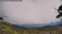 ./images/calvert/fitz-hugh-hecate/20250608/fitz-hugh-hecate20250608_131010M.jpg
