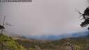 ./images/calvert/fitz-hugh-hecate/20250608/fitz-hugh-hecate20250608_131508M.jpg