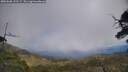 ./images/calvert/fitz-hugh-hecate/20250608/fitz-hugh-hecate20250608_132507M.jpg