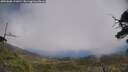 ./images/calvert/fitz-hugh-hecate/20250608/fitz-hugh-hecate20250608_133010M.jpg