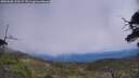 ./images/calvert/fitz-hugh-hecate/20250608/fitz-hugh-hecate20250608_133509M.jpg