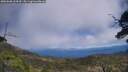 ./images/calvert/fitz-hugh-hecate/20250608/fitz-hugh-hecate20250608_134510M.jpg