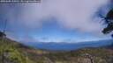 ./images/calvert/fitz-hugh-hecate/20250608/fitz-hugh-hecate20250608_135010M.jpg