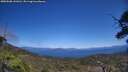 ./images/calvert/fitz-hugh-hecate/20250608/fitz-hugh-hecate20250608_141010M.jpg