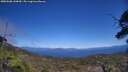 ./images/calvert/fitz-hugh-hecate/20250608/fitz-hugh-hecate20250608_144010M.jpg