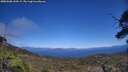 ./images/calvert/fitz-hugh-hecate/20250608/fitz-hugh-hecate20250608_144509M.jpg