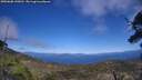 ./images/calvert/fitz-hugh-hecate/20250608/fitz-hugh-hecate20250608_145010M.jpg