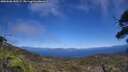 ./images/calvert/fitz-hugh-hecate/20250608/fitz-hugh-hecate20250608_145507M.jpg