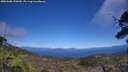 ./images/calvert/fitz-hugh-hecate/20250608/fitz-hugh-hecate20250608_150010M.jpg