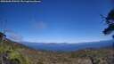./images/calvert/fitz-hugh-hecate/20250608/fitz-hugh-hecate20250608_150509M.jpg