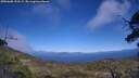 ./images/calvert/fitz-hugh-hecate/20250608/fitz-hugh-hecate20250608_152509M.jpg