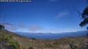 ./images/calvert/fitz-hugh-hecate/20250608/fitz-hugh-hecate20250608_153510M.jpg