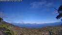 ./images/calvert/fitz-hugh-hecate/20250608/fitz-hugh-hecate20250608_154008M.jpg