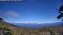 ./images/calvert/fitz-hugh-hecate/20250608/fitz-hugh-hecate20250608_154510M.jpg