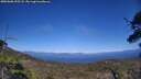 ./images/calvert/fitz-hugh-hecate/20250608/fitz-hugh-hecate20250608_155508M.jpg