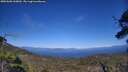 ./images/calvert/fitz-hugh-hecate/20250608/fitz-hugh-hecate20250608_160012M.jpg