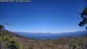 ./images/calvert/fitz-hugh-hecate/20250608/fitz-hugh-hecate20250608_164008M.jpg