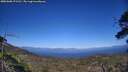 ./images/calvert/fitz-hugh-hecate/20250608/fitz-hugh-hecate20250608_171511M.jpg