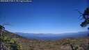 ./images/calvert/fitz-hugh-hecate/20250608/fitz-hugh-hecate20250608_174509M.jpg