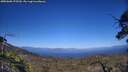 ./images/calvert/fitz-hugh-hecate/20250608/fitz-hugh-hecate20250608_175509M.jpg