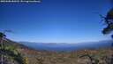 ./images/calvert/fitz-hugh-hecate/20250608/fitz-hugh-hecate20250608_180510M.jpg