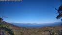 ./images/calvert/fitz-hugh-hecate/20250608/fitz-hugh-hecate20250608_181010M.jpg