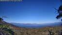 ./images/calvert/fitz-hugh-hecate/20250608/fitz-hugh-hecate20250608_183508M.jpg
