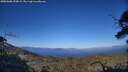 ./images/calvert/fitz-hugh-hecate/20250608/fitz-hugh-hecate20250608_193008M.jpg