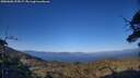 ./images/calvert/fitz-hugh-hecate/20250608/fitz-hugh-hecate20250608_195007M.jpg