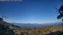 ./images/calvert/fitz-hugh-hecate/20250608/fitz-hugh-hecate20250608_195508M.jpg