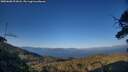 ./images/calvert/fitz-hugh-hecate/20250608/fitz-hugh-hecate20250608_201008M.jpg