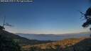 ./images/calvert/fitz-hugh-hecate/20250608/fitz-hugh-hecate20250608_205508M.jpg