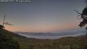 ./images/calvert/fitz-hugh-hecate/20250608/fitz-hugh-hecate20250608_215507M.jpg