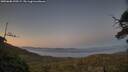 ./images/calvert/fitz-hugh-hecate/20250608/fitz-hugh-hecate20250608_220509M.jpg