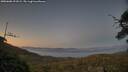 ./images/calvert/fitz-hugh-hecate/20250608/fitz-hugh-hecate20250608_221008M.jpg