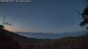 ./images/calvert/fitz-hugh-hecate/20250608/fitz-hugh-hecate20250608_223506M.jpg
