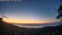 ./images/calvert/fitz-hugh-hecate/20250609/fitz-hugh-hecate20250609_044007M.jpg