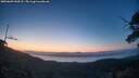 ./images/calvert/fitz-hugh-hecate/20250609/fitz-hugh-hecate20250609_044508M.jpg