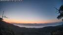 ./images/calvert/fitz-hugh-hecate/20250609/fitz-hugh-hecate20250609_050008M.jpg