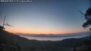 ./images/calvert/fitz-hugh-hecate/20250609/fitz-hugh-hecate20250609_050508M.jpg