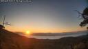./images/calvert/fitz-hugh-hecate/20250609/fitz-hugh-hecate20250609_052508M.jpg