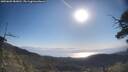 ./images/calvert/fitz-hugh-hecate/20250609/fitz-hugh-hecate20250609_083011M.jpg