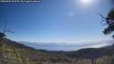 ./images/calvert/fitz-hugh-hecate/20250609/fitz-hugh-hecate20250609_100509M.jpg