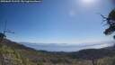 ./images/calvert/fitz-hugh-hecate/20250609/fitz-hugh-hecate20250609_101510M.jpg
