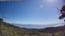 ./images/calvert/fitz-hugh-hecate/20250609/fitz-hugh-hecate20250609_103510M.jpg