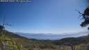 ./images/calvert/fitz-hugh-hecate/20250609/fitz-hugh-hecate20250609_105010M.jpg