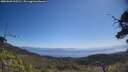 ./images/calvert/fitz-hugh-hecate/20250609/fitz-hugh-hecate20250609_105510M.jpg