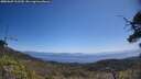 ./images/calvert/fitz-hugh-hecate/20250609/fitz-hugh-hecate20250609_112510M.jpg